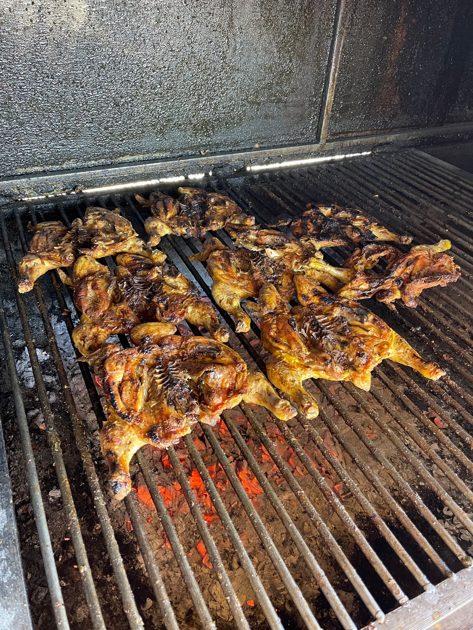 Pollos asados, butterflied open on the charcoal grill